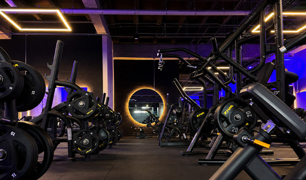 Gimnasio de Peso Integrado